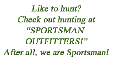 Like to hunt!